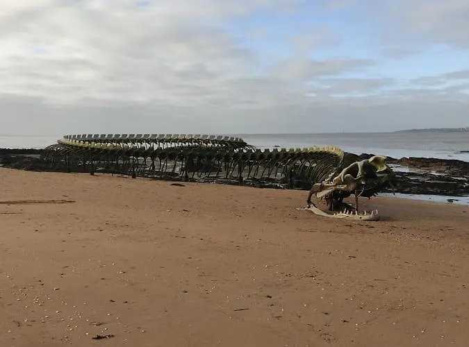 Chez Fifi 度假居 圣布里文莱丝皮恩